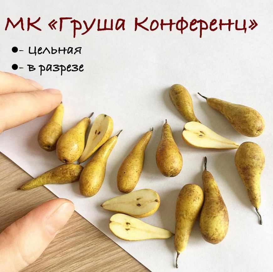 Мастер-класс "Груши конференция целые и в разрезе" (manufruktura)