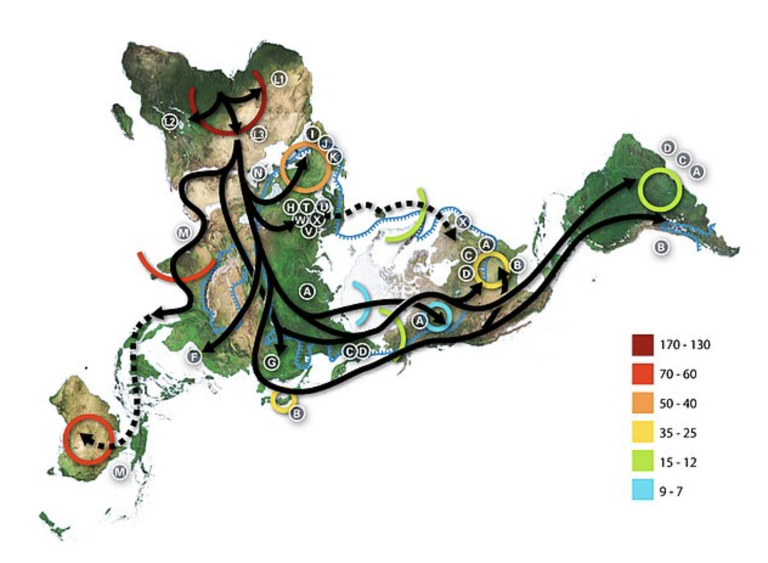 [Архэ] Миграции древних людей: куда и зачем ходили наши предки? (Станислав Дробышевский)