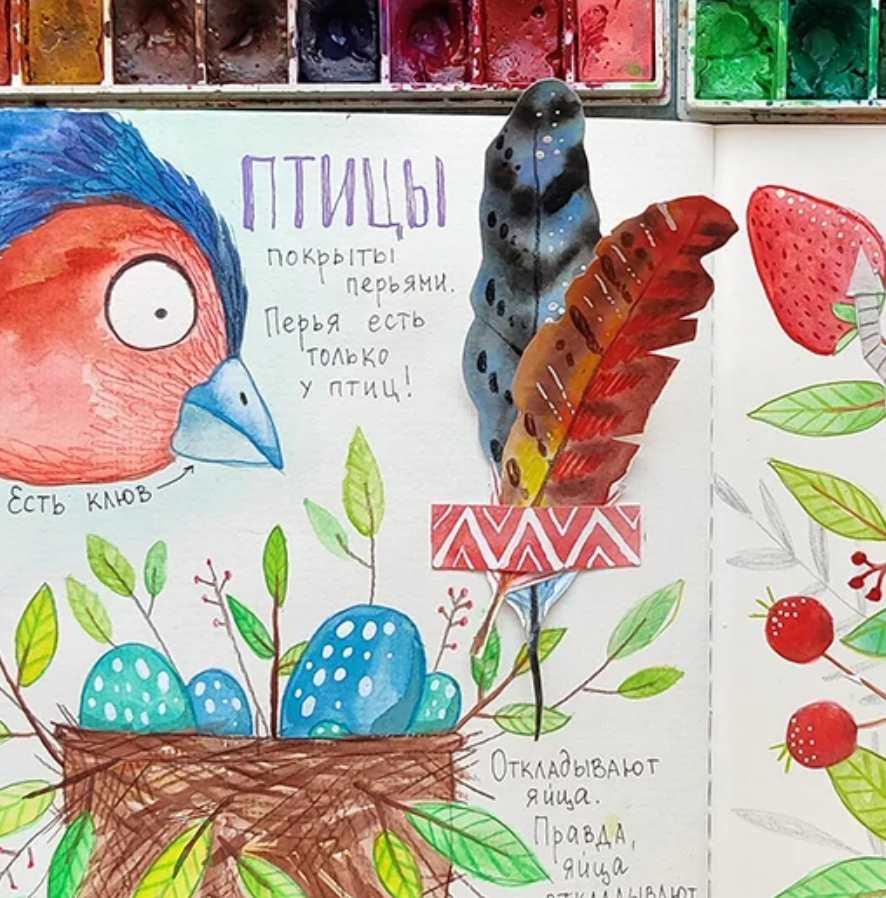 [HurlyBurlySchool] 4 блок годового курса "Окружающий мир" (Оля Сафонова, Даша Сафонова)