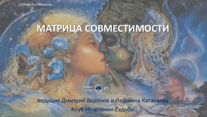Курс по отношениям в Матрице Судьбы. Матрица совместимости. Метод Лaдини (Дмитрий Воронов)