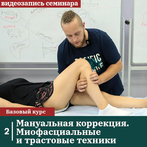 [Сандал] Мануальная коррекция. Миофасциальные и трастовые техники (Михаил Белюк, Егор Заславский)