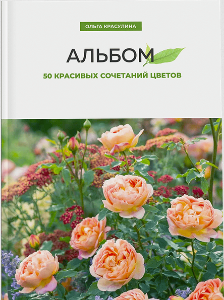 Альбом 50 красивых сочетаний цветов (Ольга Красулина)