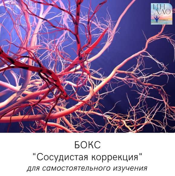 Сосудистая коррекция (Сергей Матюшкин)