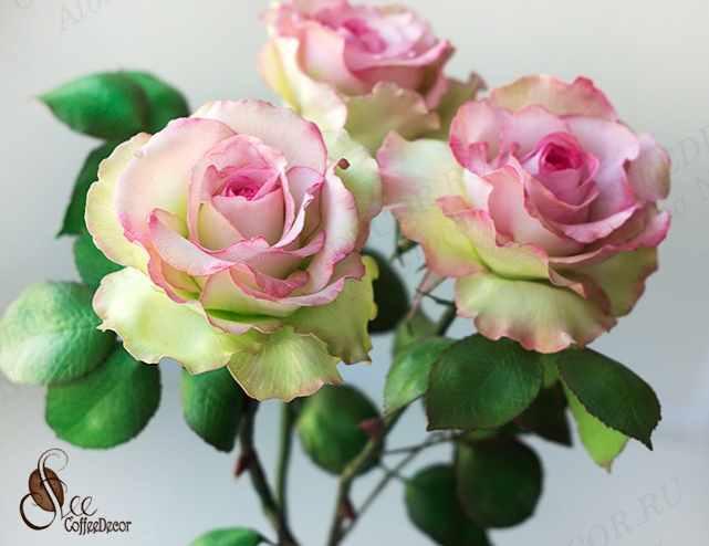 Интерьерная роза Эсперанса из зефирного фоамирана (Альбина Насырова)