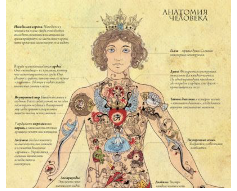 Оккультная анатомия (Велимира)