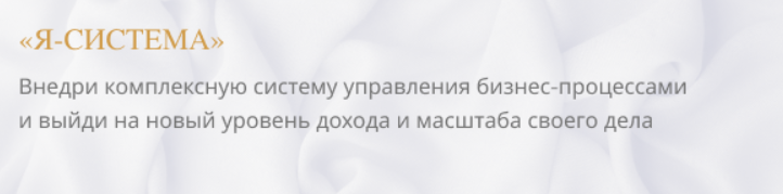 Я - система (Анастасия Лобанова)