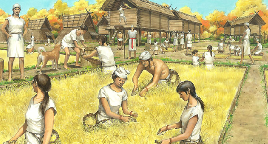 [Архэ] Рис приходит в Японию: формирование земледельческой культуры (Василий Щепкин)