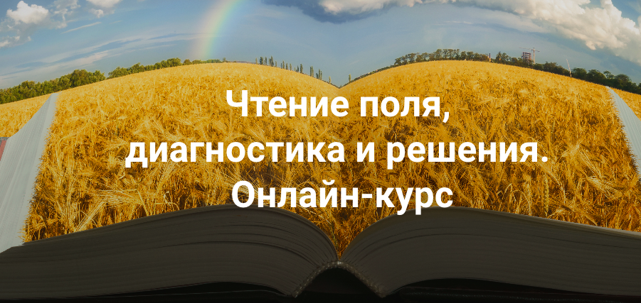 Чтение поля,  диагностика и решения .Тариф Апгрейд до пакета "Полный" (Елена Веселаго)