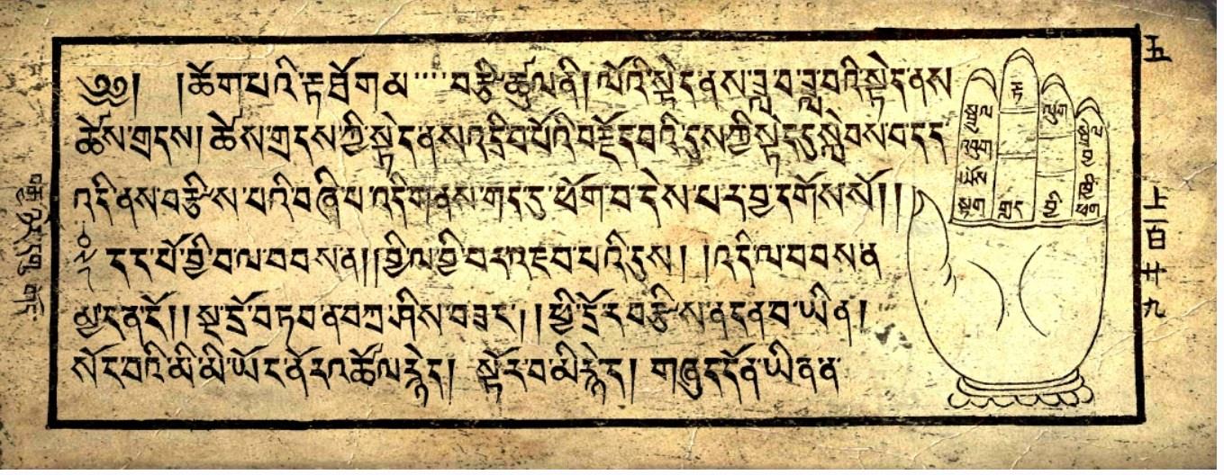 Девять ступеней Тибетской Астрологии. 11 месяц (Александр Хосмо)