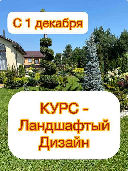 [Ева. Сад своими руками] Ландшафтный дизайн