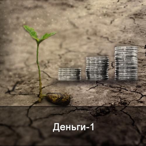 Деньги-1. Энергетические уровни достатка. 2021 (Ксения Меньшикова)