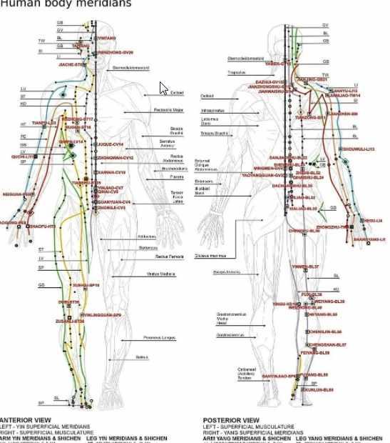 [Maitreya Fields] Tong Ren Automated - расширенное лечение