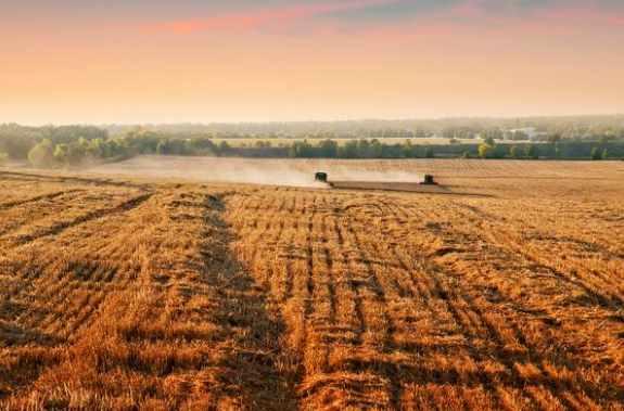 Идеи и советы для осенней съемки (Михаил Рыжов)