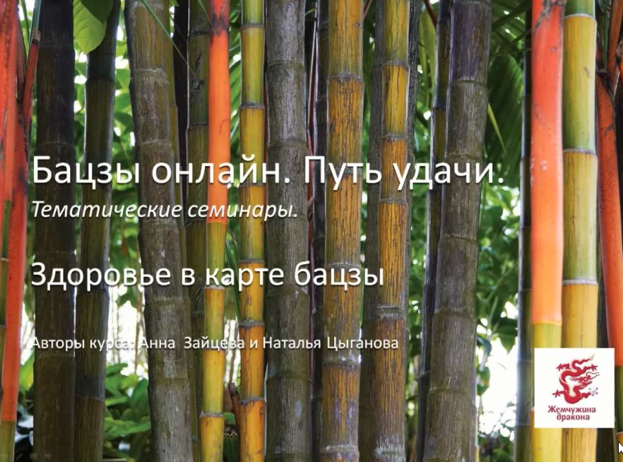 Здоровье в бацзы (Анна Зайцева, Наталья Цыганова)