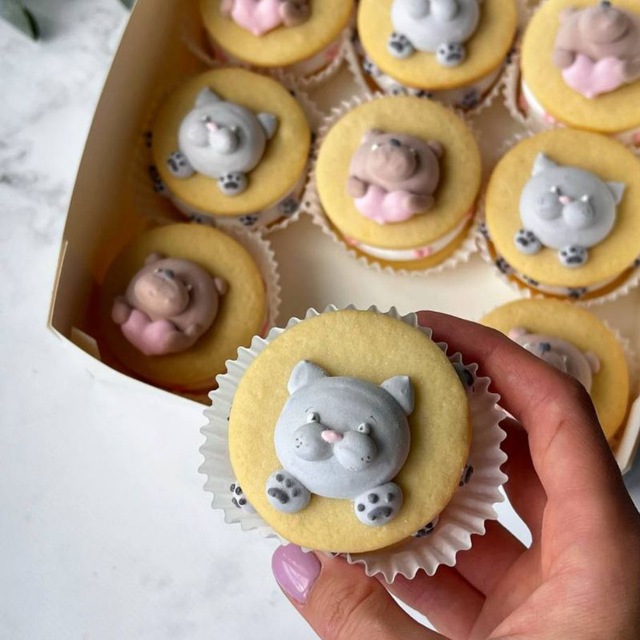 Большой курс маршмеллоу (Юлия Хвостова)