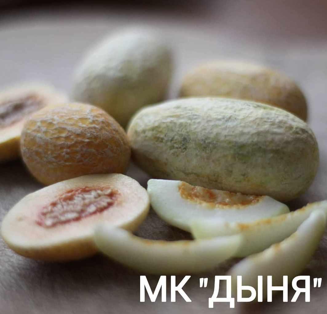 Дыня из полимерной глины (clay.mini.life)