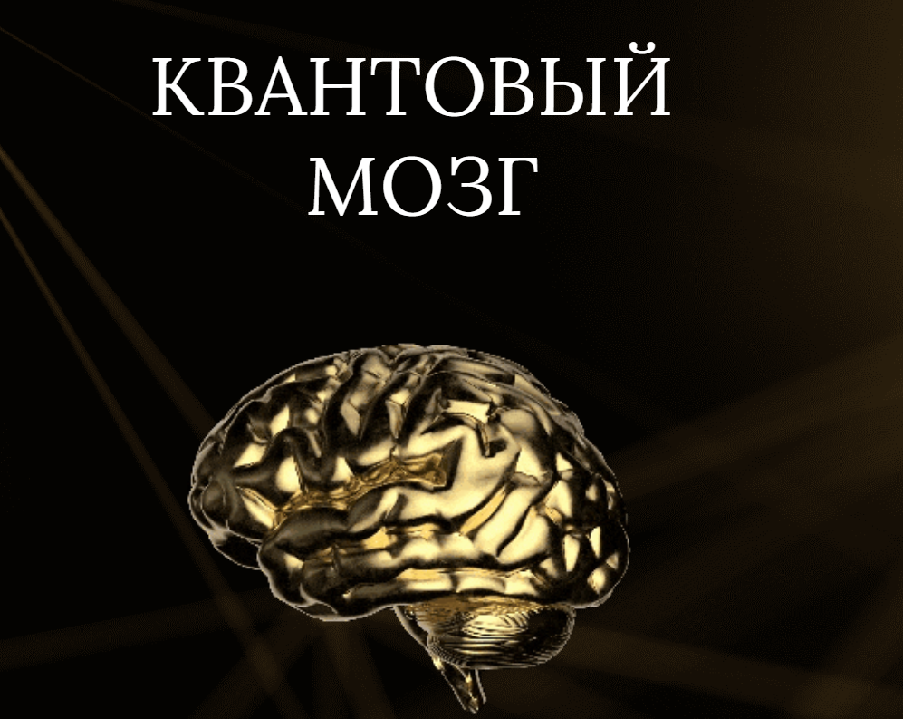 Квантовый мозг (Анна Камаллая Хефорс)