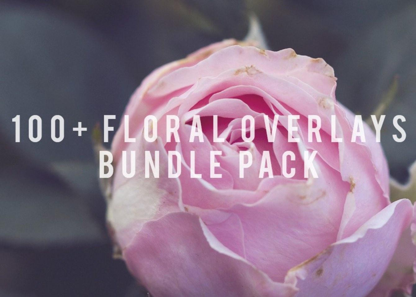 [Overlays] 100+ floral overlays bundle pack