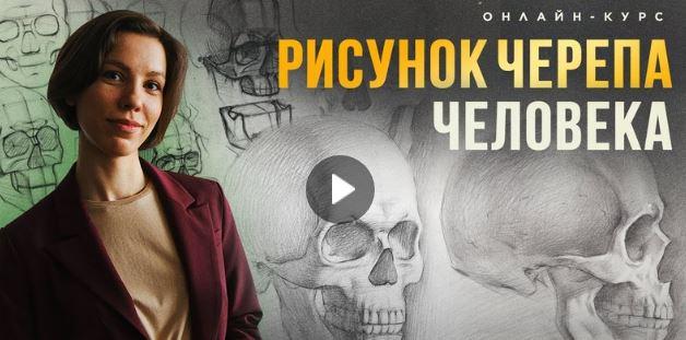 [Академика] Рисунок черепа человека (Евгения Банник)