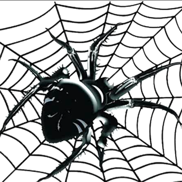 [Атлантида] Магазин Товары в дорогу. Видеозаклинание Майянские пауки