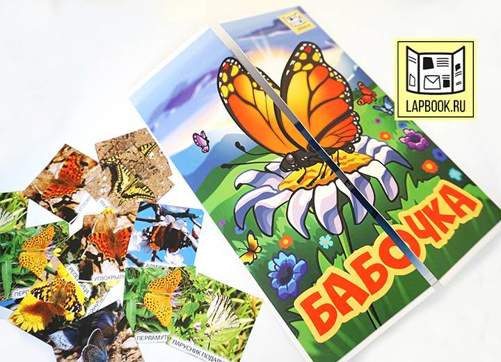 Лэпбук Бабочка (Татьяна Пироженко)