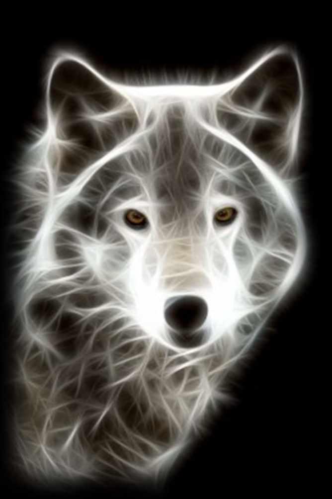 Сангвинем де Магицис Лупус (Лавиния Сина Шендрей)