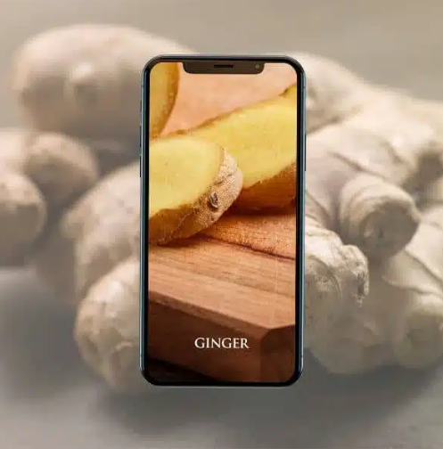 [Digital Energy Mandalas] Имбирь (Эрик Томпсон)