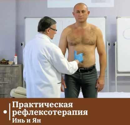 [Сандал] Практическая рефлексотерапия. Инь и Ян (Владимир Кононов)