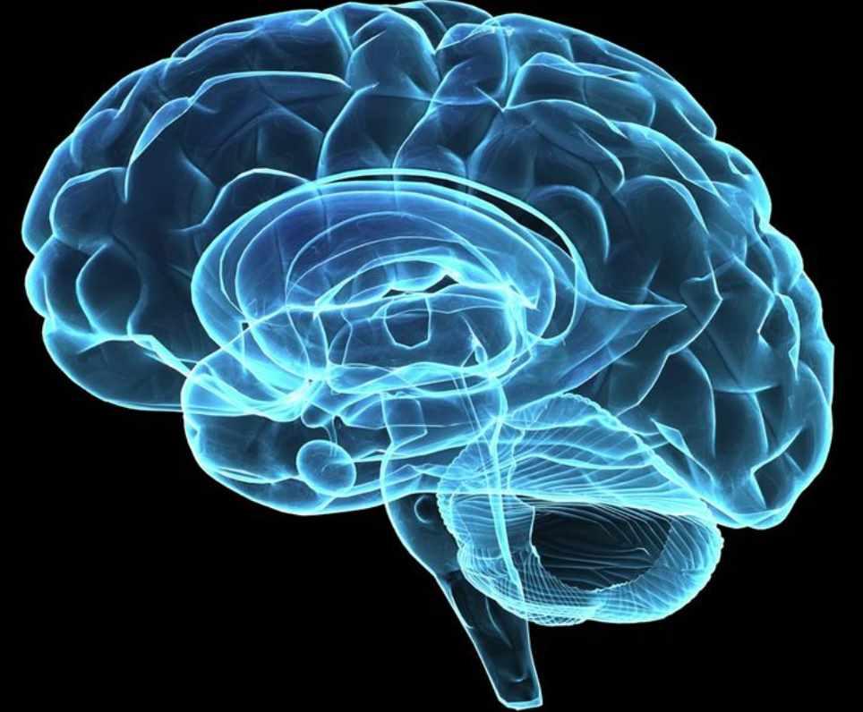 Здоровый мозг в любом возрасте (Ольга Бутакова)