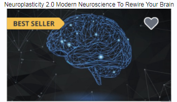 [Udemy] Нейропластичность 2.0 – Современный подход к перепрограммированию мозга (Сильвио Мариск)