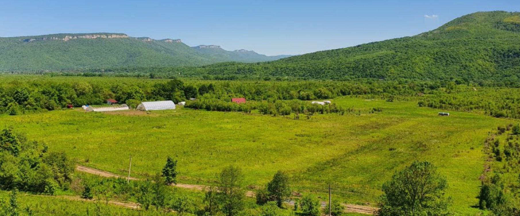 [Райар] Специальность: проектирование пермакультурного дизайна