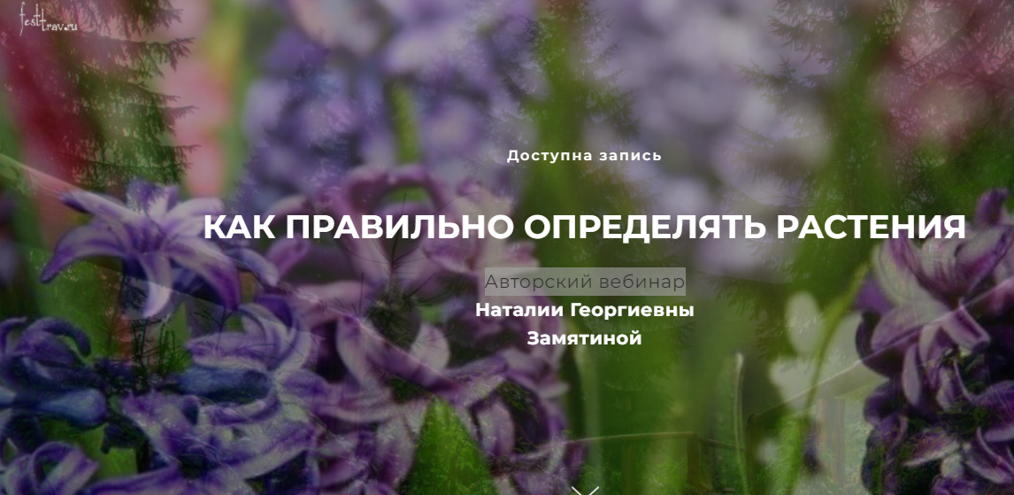 Авторский вебинар «Как правильно определять растения» (Наталья Замятина)