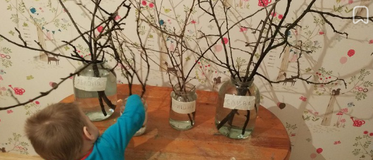 Биошкола 2017 (Юлия Ремпель)