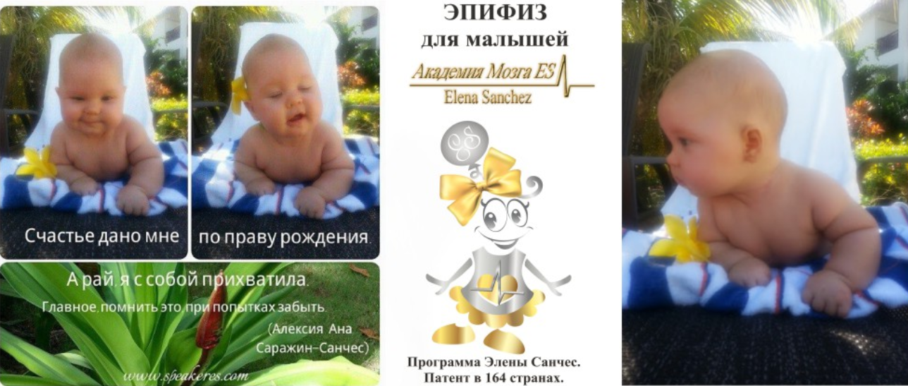 Эпифиз для малышей (Элена Санчес)