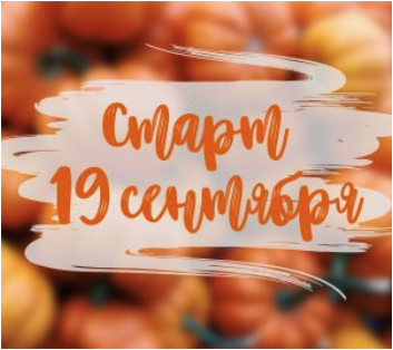 [konfect] Sweet autumn (Ксения Нохрина)