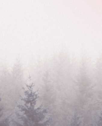 Остеопатия с беременными и детьми (Чикуров Юрий Валентинович), фото 1 из 1.