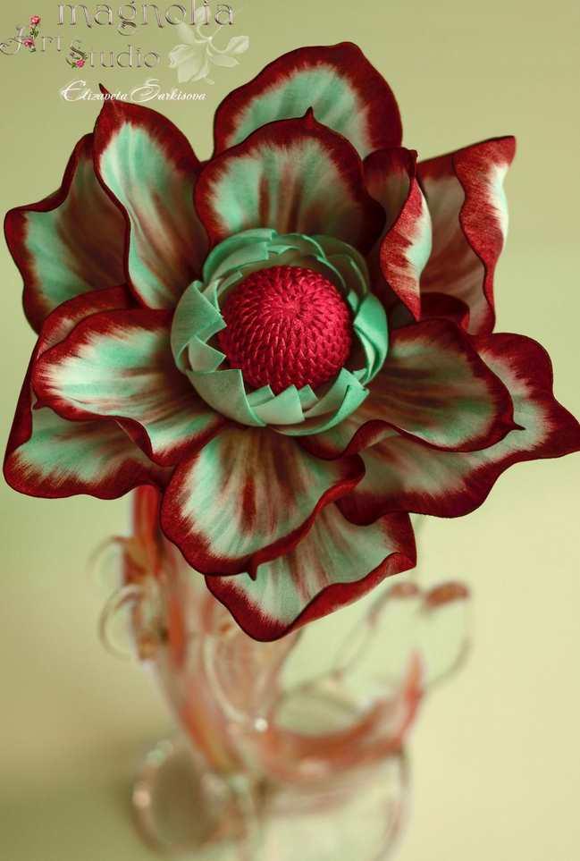 Магнолия Бисмарк (Елизавета Саркисова)