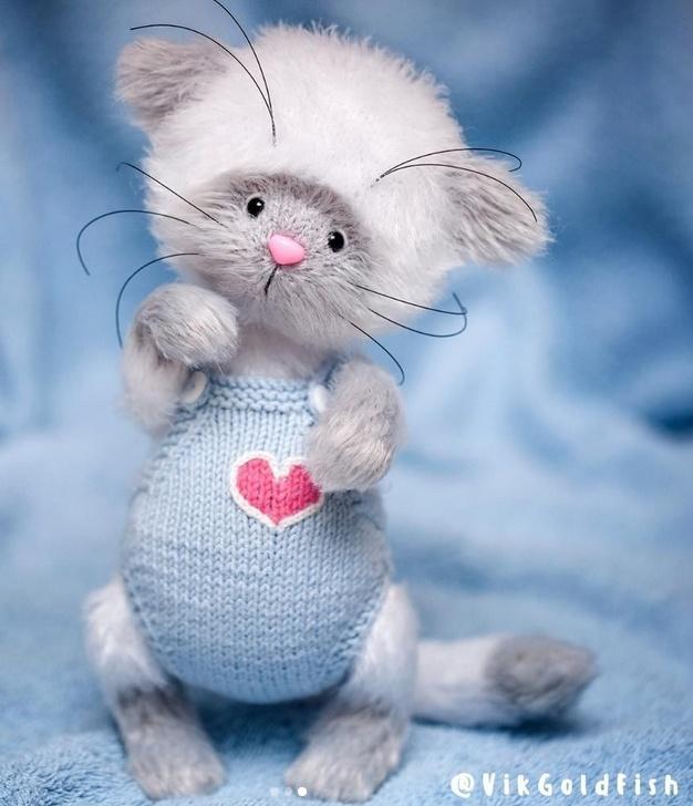 Котенок Тедди (vikgoldfish)