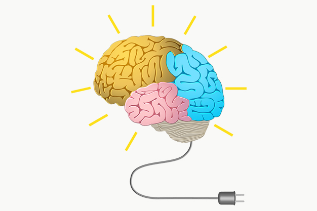 Сохранить Мозг. Практикум для сохранения функций мозга (Наталья Арсенян)