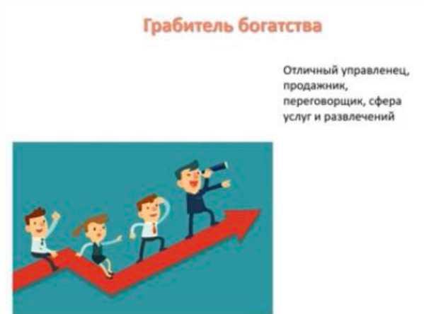 Грабитель богатства: как заработать и не потерять деньги (Юдола Белимирова)