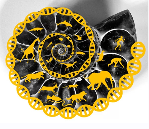 [Level One] Как устроен мир: от молекулы до человека (Егор Мусин)