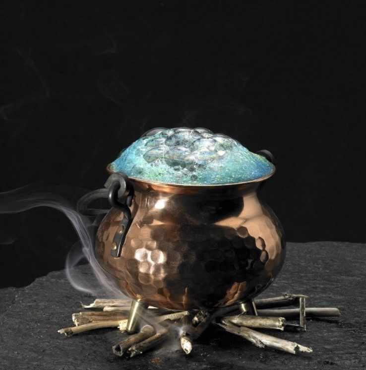 Магическое Очищающее Зелье (Лавиния Сина Шендрей)