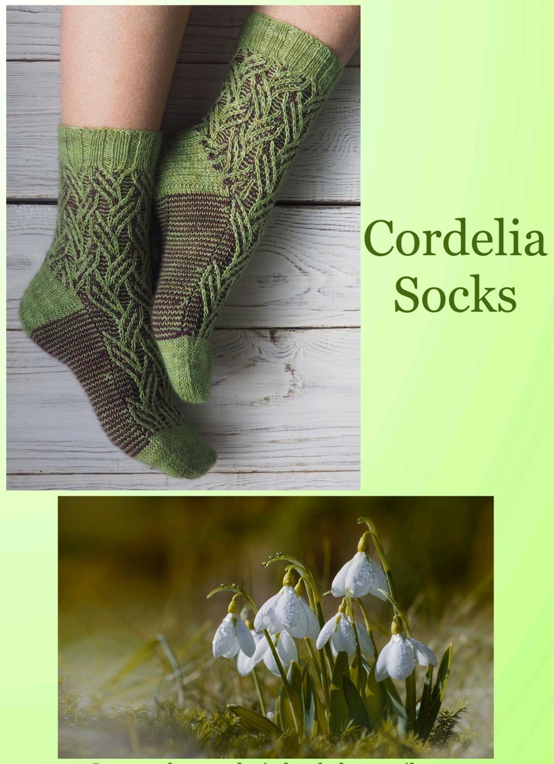 [helenavasilevna] Носки Cordelia (Алена Малевич)