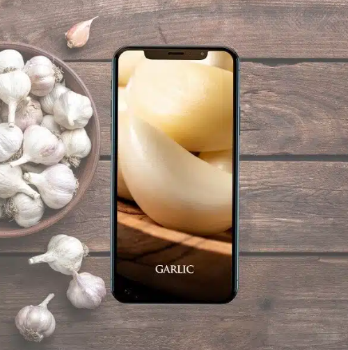 [Digital Energy Mandalas] Чеснок (Эрик Томпсон)