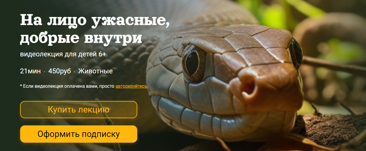 На лицо ужасные, добрые внутри (Александр Толмачев)