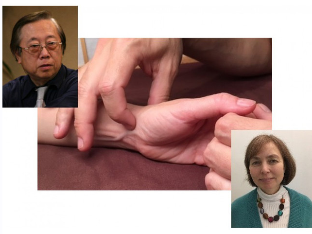 Пульсовая и аурикулярная диагностики по методу Джимми Чанга. Часть 2 (Екатерина Федотова)