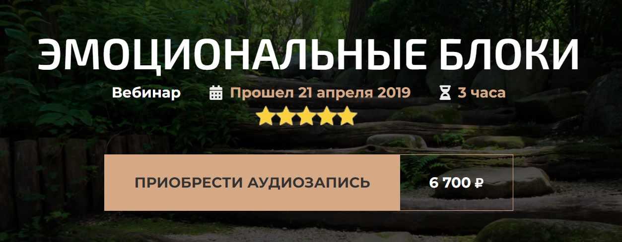 Вебинар «Эмоциональные блоки» (Александр Палиенко)