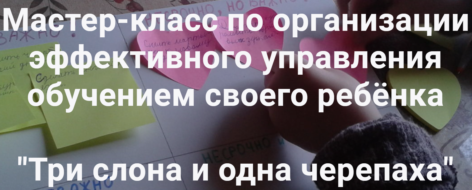 Мастер-класс по организации эффективного управления обучением своего ребёнка Три слона и одна черепаха (Диана Королькова)