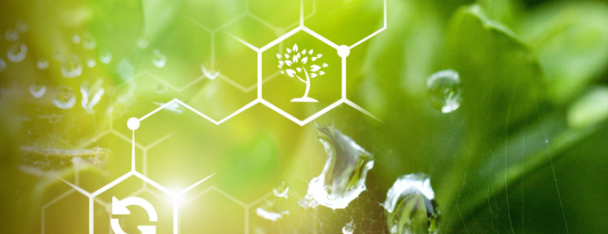 [Архэ] Цитология (Станислав Дробышевский)