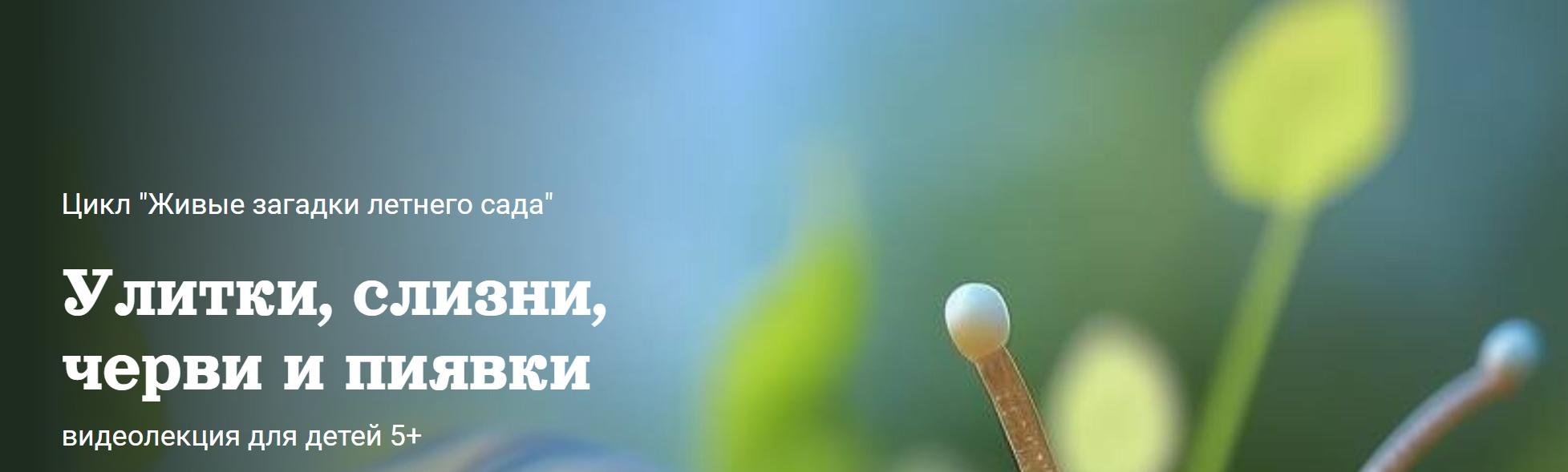 [Детский лекторий] Улитки, слизни, черви и пиявки (Александр Толмачев)